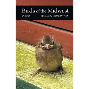 Birds of the Midwest - Paperback