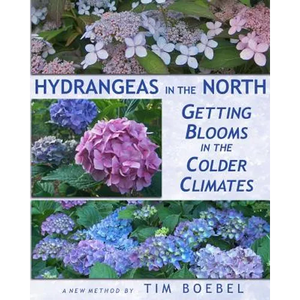 Hydrangeas in the North: Getting Blooms in the Colder Climates - Paperback
