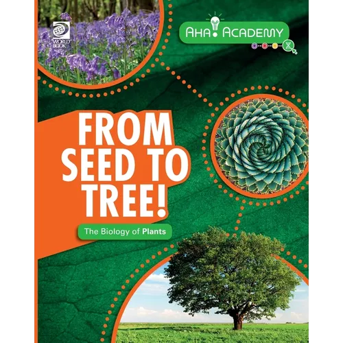 From Seed to Tree! The Biology of Plants - Paperback