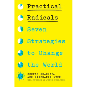 Practical Radicals: Seven Strategies to Change the World - Paperback