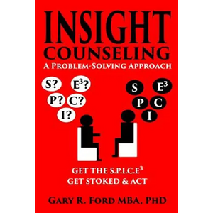Insight Counseling: A Problem-Solving Approach - Paperback