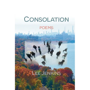Consolation; Poems - Paperback