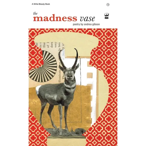 The Madness Vase - Paperback