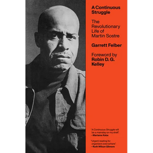 A Continuous Struggle: The Revolutionary Life of Martin Sostre - Paperback