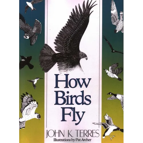 How Birds Fly - Paperback