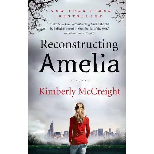 Reconstructing Amelia - Paperback