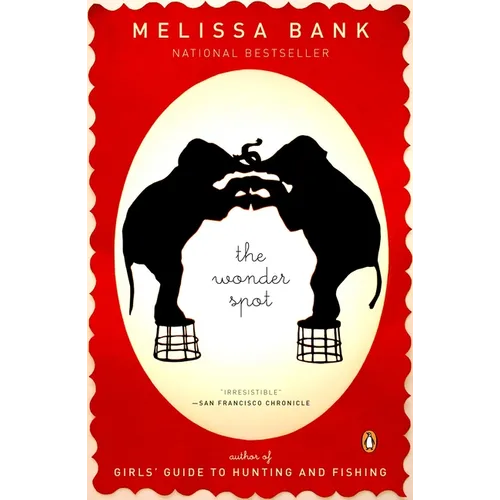 The Wonder Spot - Paperback