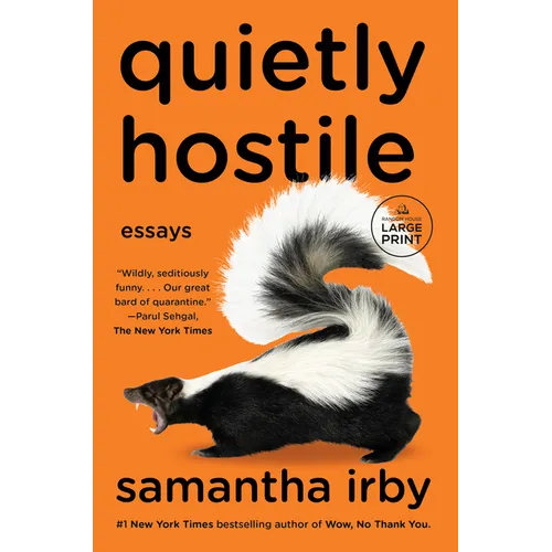 Quietly Hostile: Essays