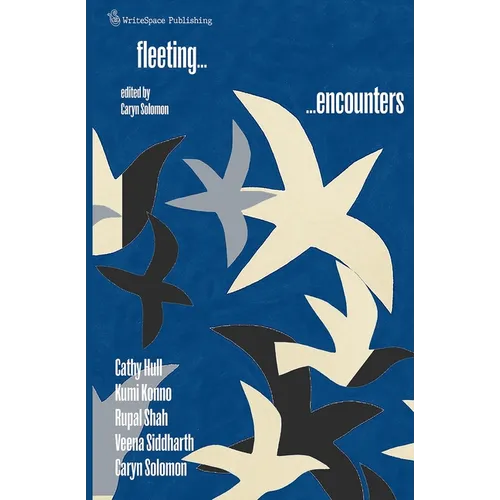 Fleeting Encounters - Paperback