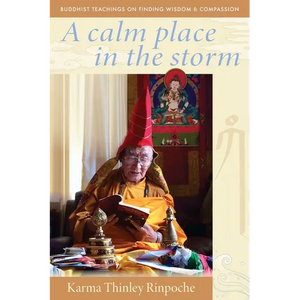 A Calm Place in the Storm: Buddhist Teachings on Finding Wisdom and Compassion - Paperback
