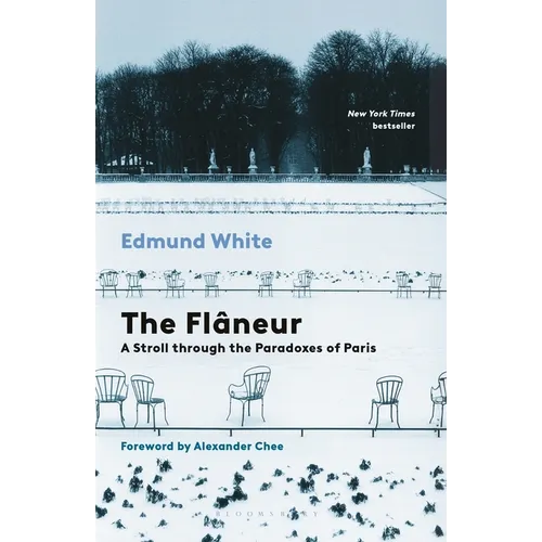 The Flaneur: A Stroll Through the Paradoxes of Paris - Paperback