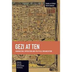 Gezi at Ten: Domination, Opposition and Political Organization - Paperback