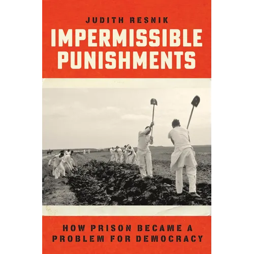 Impermissible Punishments: How Prison Became a Problem for Democracy - Hardcover