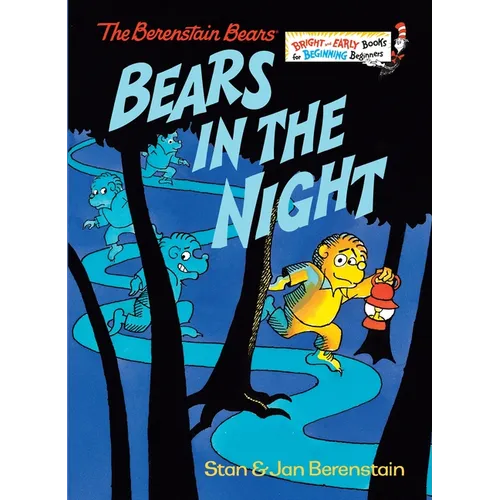 Bears in the Night - Hardcover