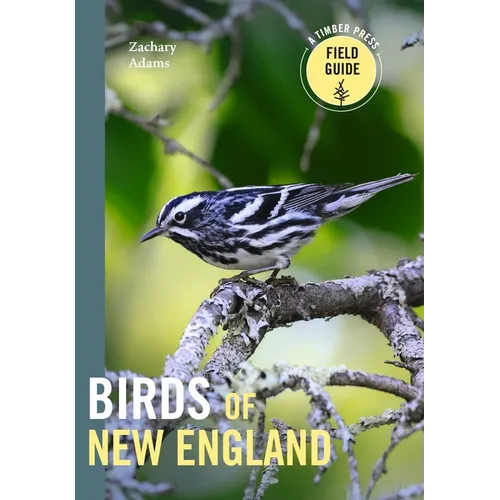 Birds of New England: A Timber Press Field Guide - Paperback
