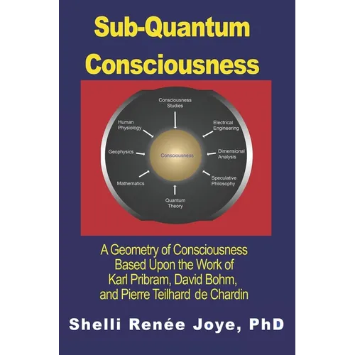 Sub-Quantum Consciousness: A Geometry of Consciousness Based Upon the Work of Karl Pribram, David Bohm, and Pierre Teilhard De Chardin - Paperback