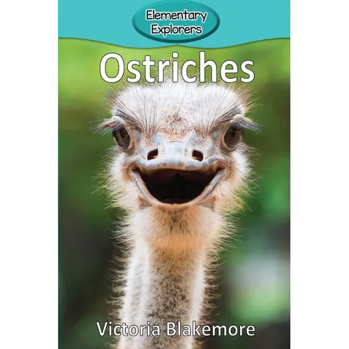 Ostriches - Paperback