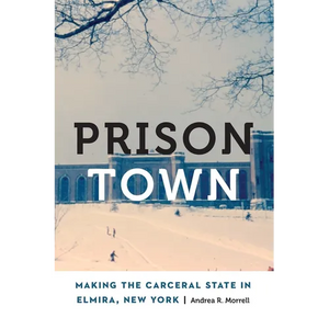 Prison Town: Making the Carceral State in Elmira, New York - Hardcover