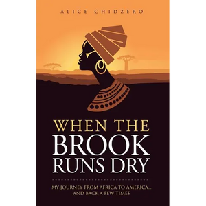 When the Brook Runs Dry: My Journey From Africa to America... and Back a Few Times - Paperback
