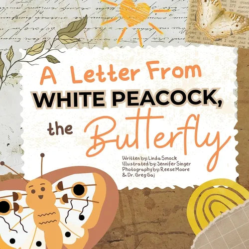 A Letter from White Peacock the Butterfly - Paperback