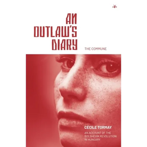 An Outlaw's Diary - Paperback