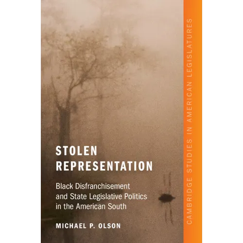 Stolen Representation - Paperback