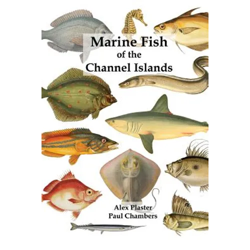 Marine Fish of the Channel Islands - Paperback