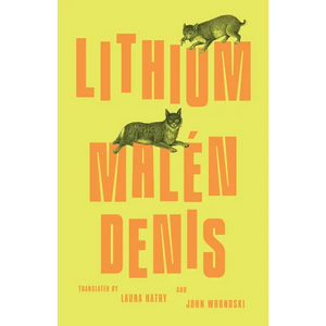 Lithium - Paperback