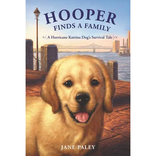 Hooper Finds a Family: A Hurricane Katrina Dog's Survival Tale - Paperback