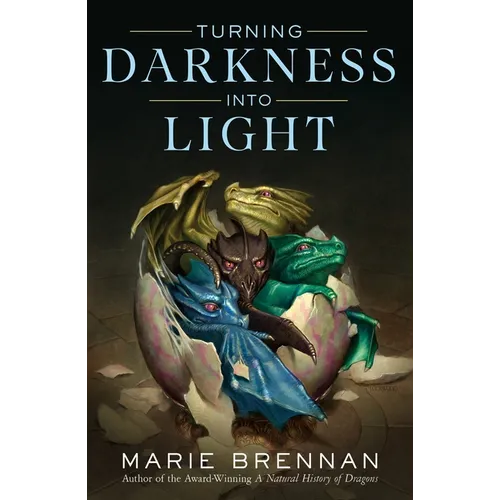 Turning Darkness Into Light - Paperback