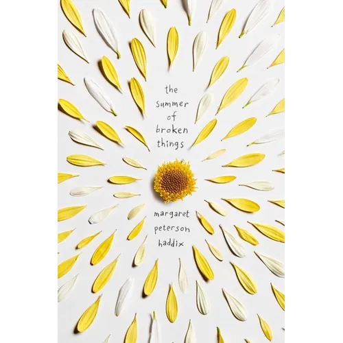 The Summer of Broken Things - Paperback