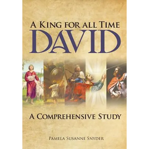 A King for all Time David: A Comprehensive Study - Paperback