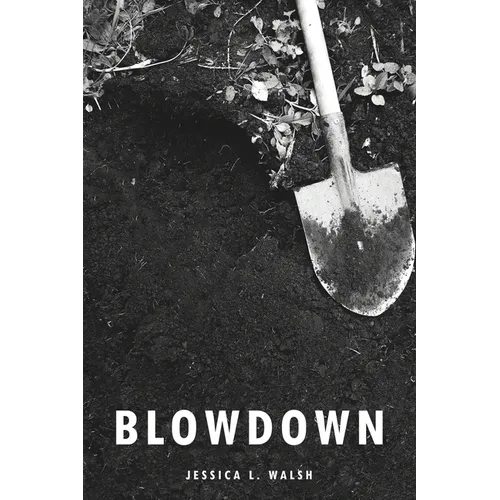 Blowdown - Paperback