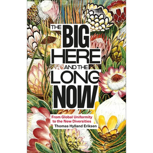 The Big Here and the Long Now: From Global Uniformity to the New Diversities - Paperback