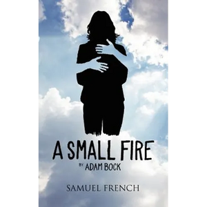 A Small Fire - Paperback
