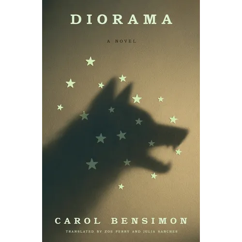 Diorama - Hardcover