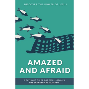 Amazed and Afraid: Discover the Power of Jesus - Paperback