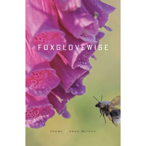 Foxglovewise - Paperback