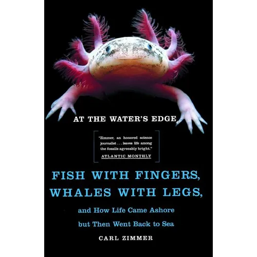 At the Water's Edge: Fish with Fingers, Whales with Legs, and How Life Came Ashore But Then Went Back to Sea - Paperback