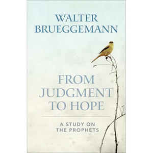 From Judgement to Hope - Paperback