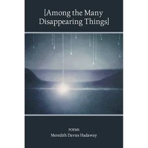 [Among the Many Disappearing Things]: Poems - Paperback