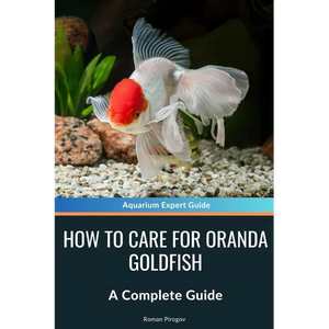 How to Care for Oranda Goldfish: A Complete Guide - Paperback