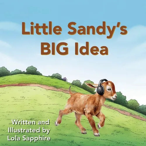 Little Sandy's BIG Idea - Paperback