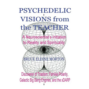 Psychedelic Visions from the Teacher - Paperback