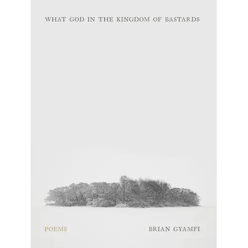 What God in the Kingdom of Bastards: Poems - Paperback