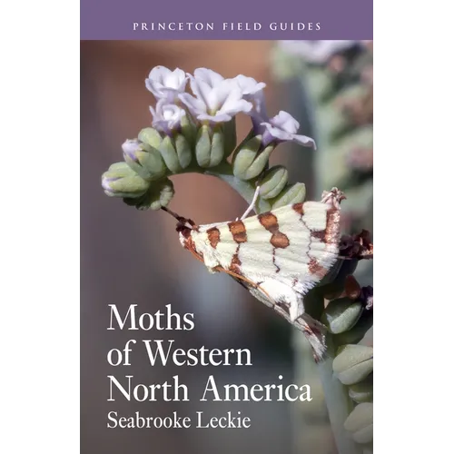 Moths of Western North America - Paperback