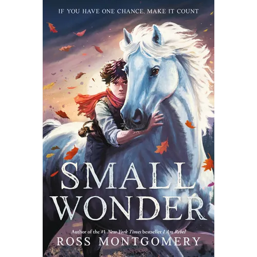 Small Wonder - Hardcover