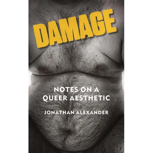 Damage: Notes on a Queer Aesthetic - Paperback