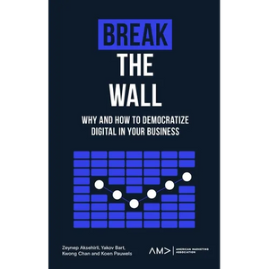 Break the Wall: Why and How to Democratize Digital in Your Business - Paperback