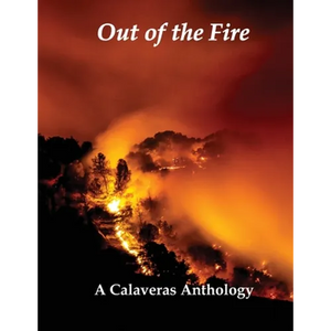 Out of the Fire - Paperback